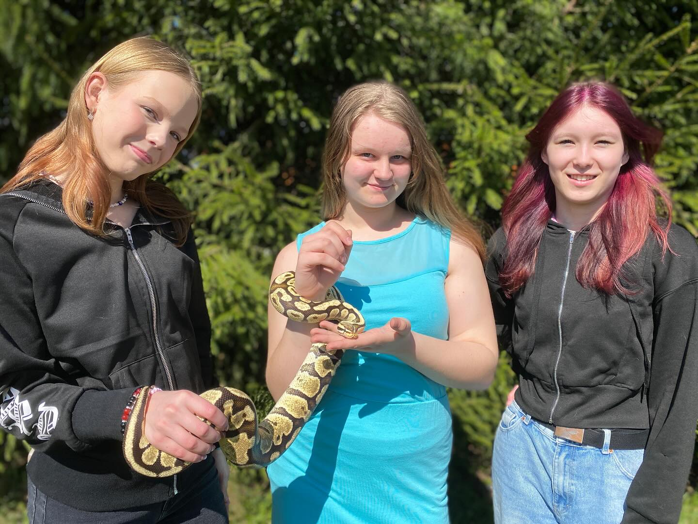 Madudega pildistamine