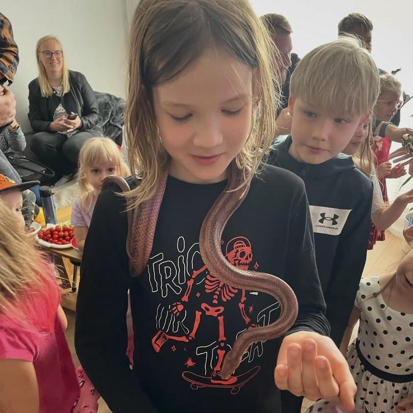 Madudega pildistamine