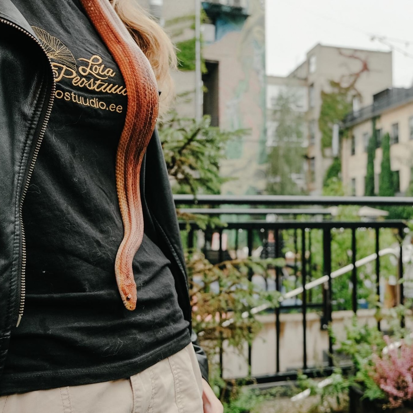 Madudega pildistamine