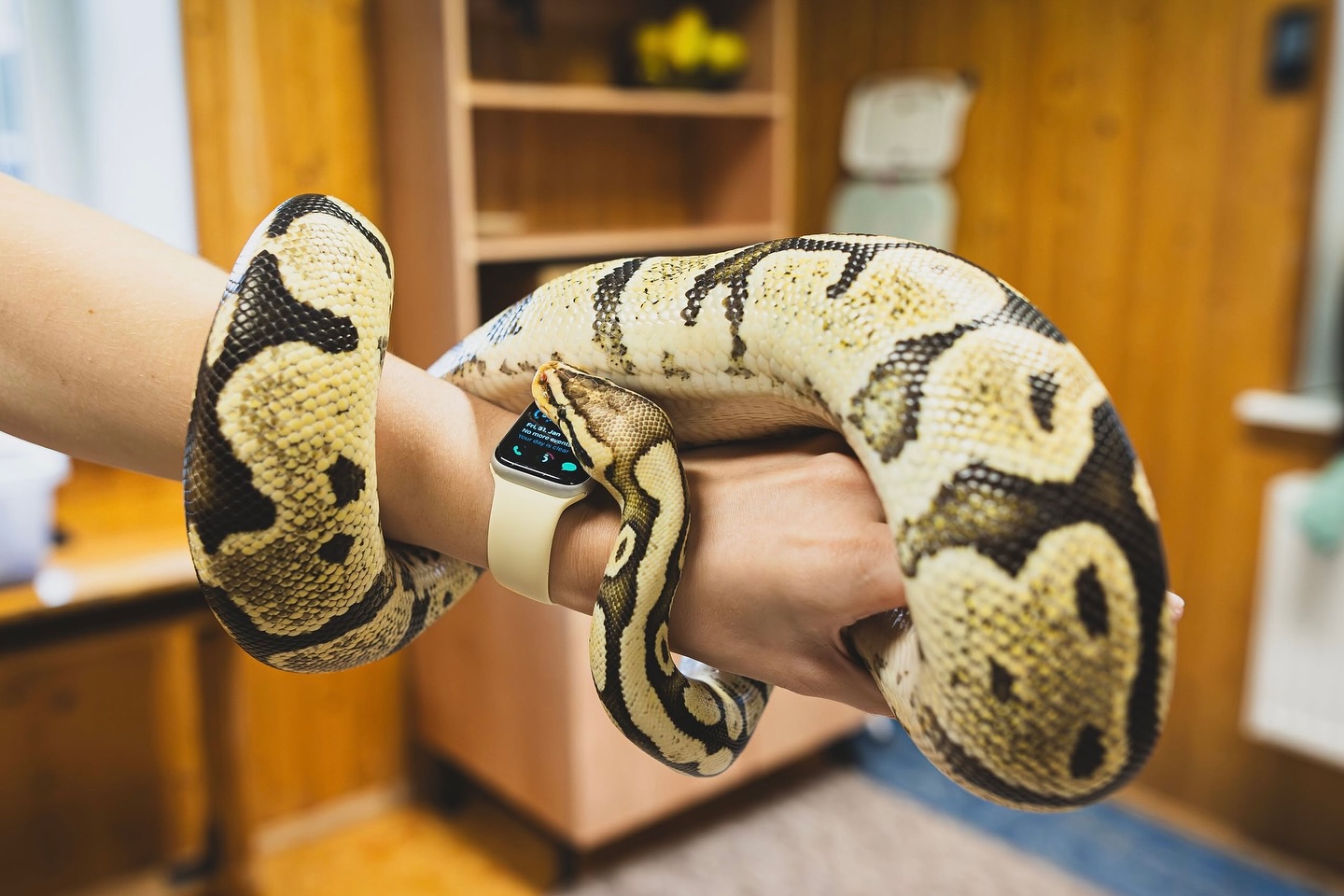 Vastse-Kuuste noortekeskuse mao aasta alguse tähistamine