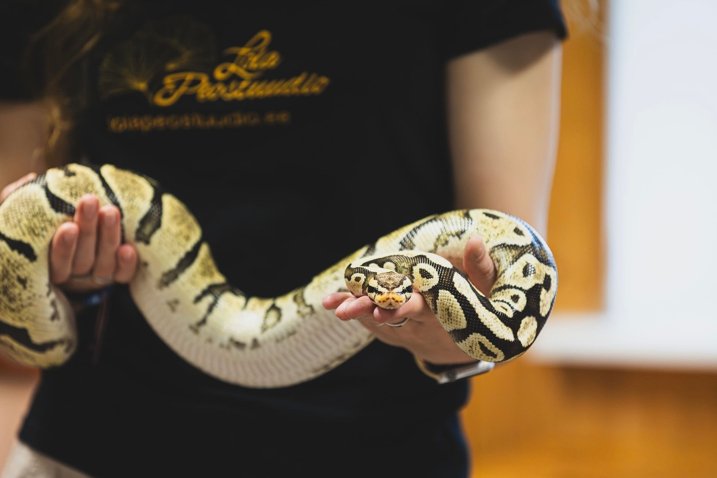 Vastse-Kuuste noortekeskuse mao aasta alguse tähistamine