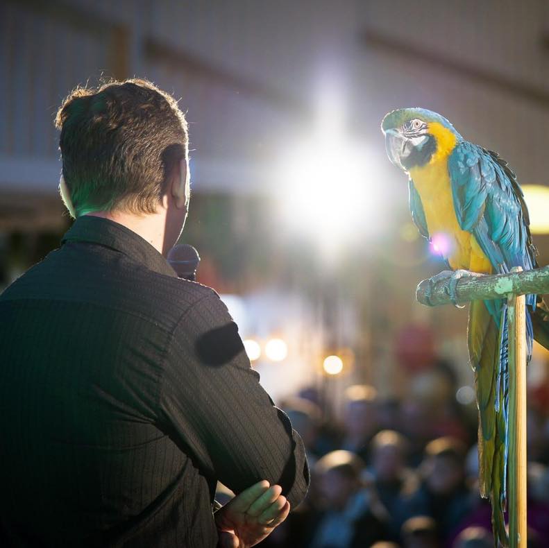 Pargi keskuse ostuöö