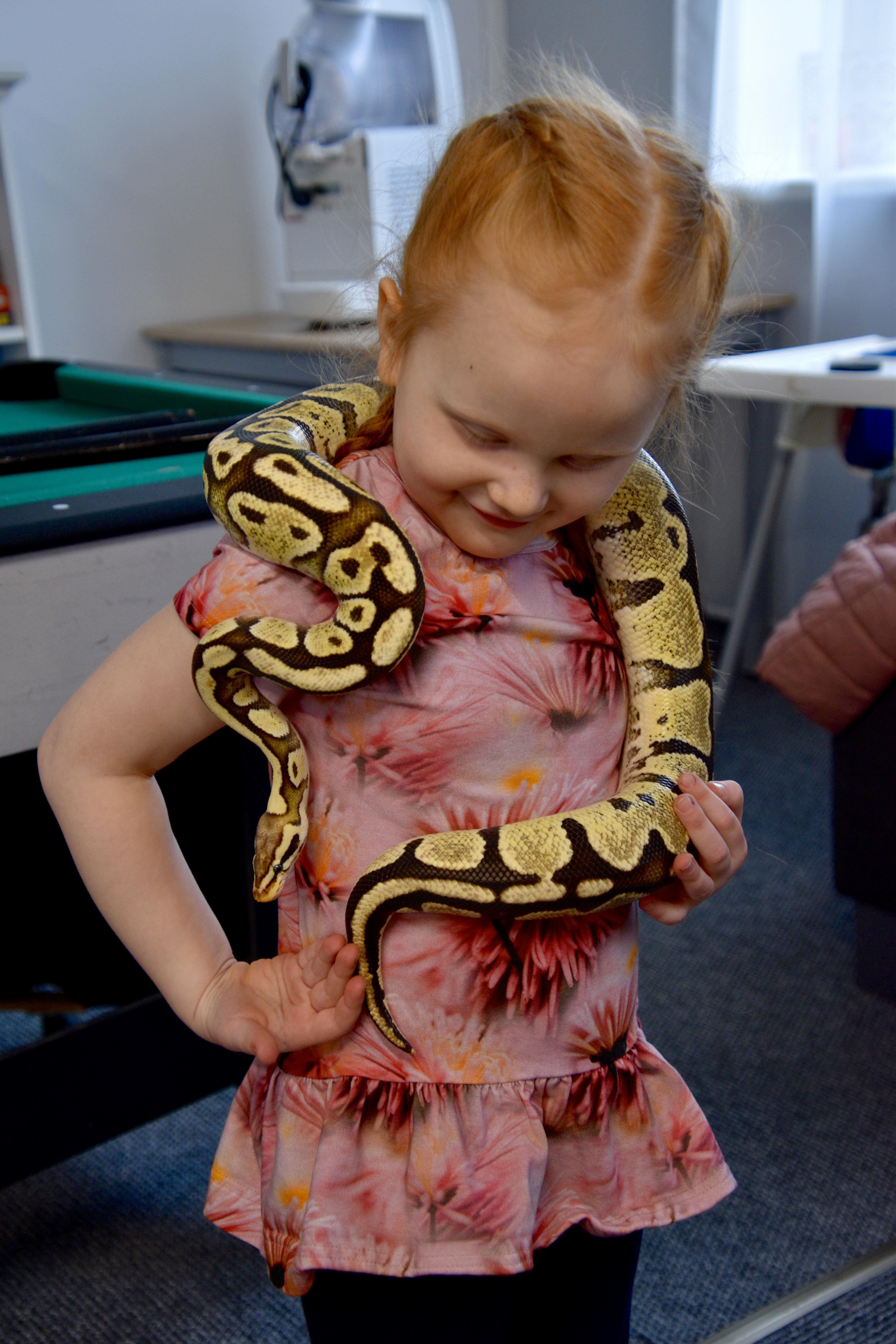 Madudega pildistamine