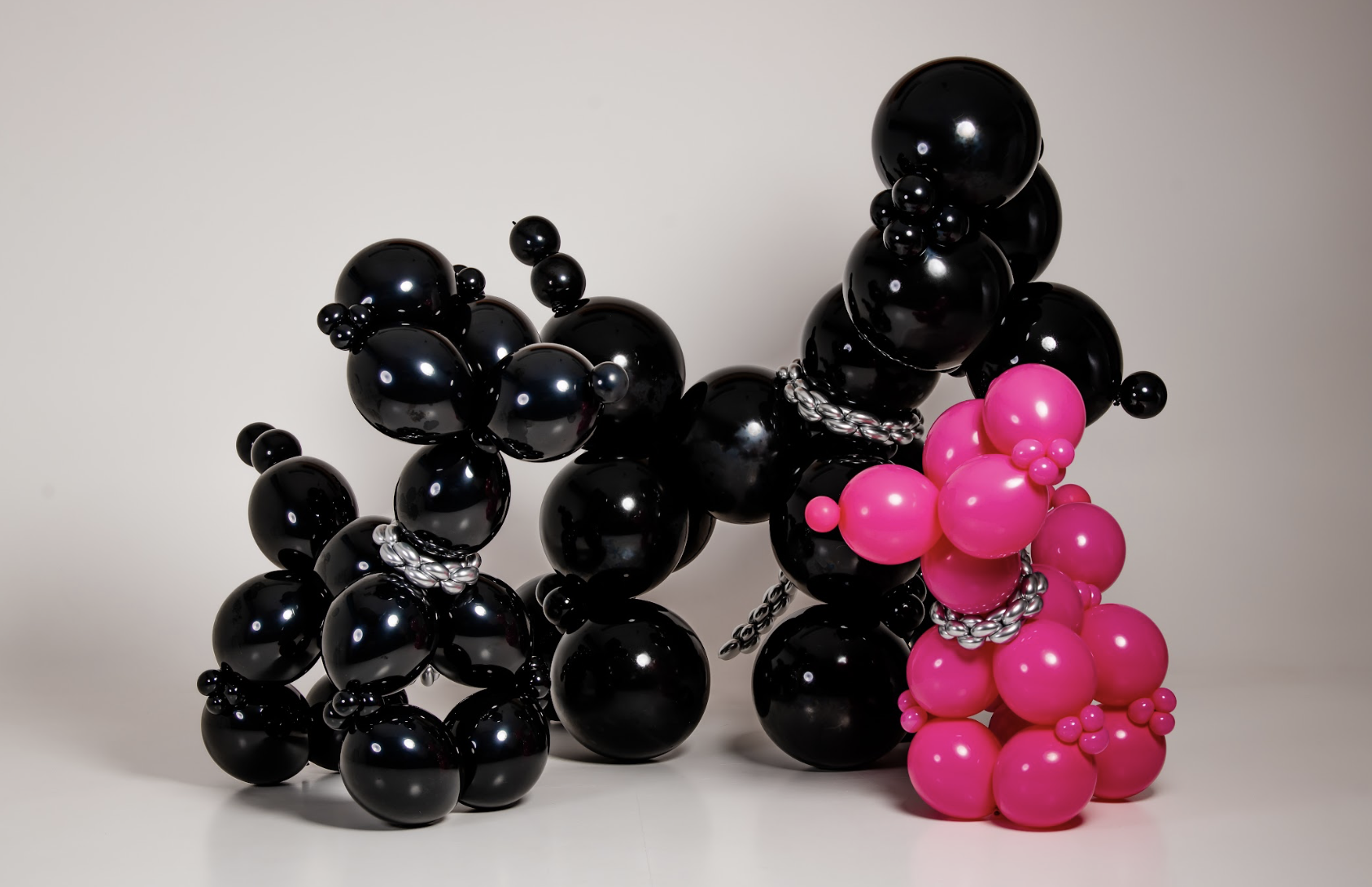 Fotosessioon õhupallikoertega Karramel Stuudios